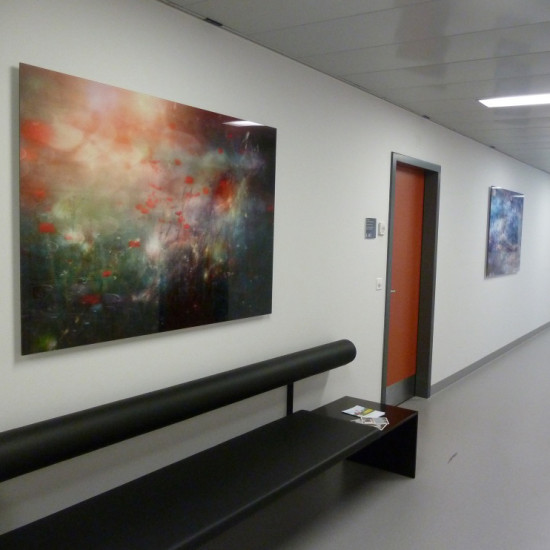Glanz-Acrylglas steht für eine starke Leuchtkraft und effektvolle Tiefenwirkung - Bilder von Dölf Brunner