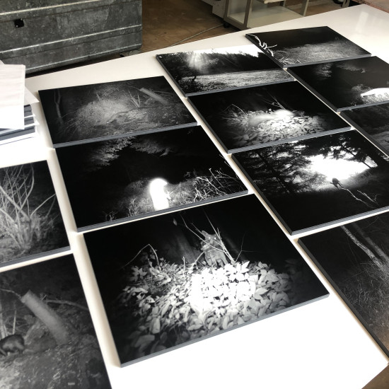 Rahmenlose Bildpräsentation – Fotografien von René Odermatt auf 12mm schwarzem MDF