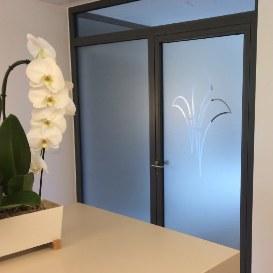 Sichtschutzfolie mit freigestelltem Logo